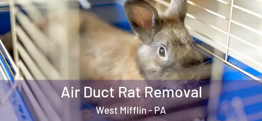 Air Duct Rat Removal West Mifflin - PA