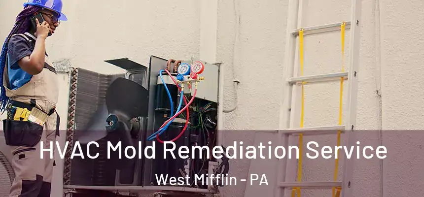 HVAC Mold Remediation Service West Mifflin - PA