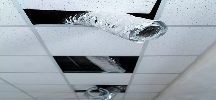 Affordable HVAC Sanitizing After Pest Removal in West Mifflin