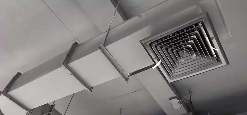 Our Pest Removal From Ducts Services in West Mifflin, PA