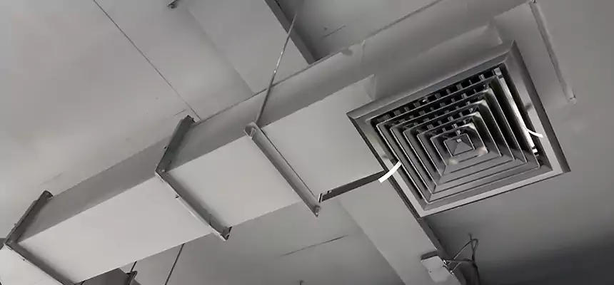 Our Rodent Droppings In Vents Services in West Mifflin, PA