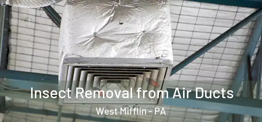 Insect Removal from Air Ducts West Mifflin - PA