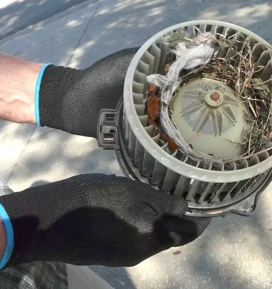 About Air Duct Rat Removal in West Mifflin, PA