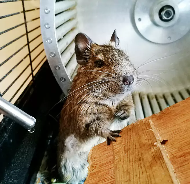 Why Homeowners & Businesses Trust Us West Mifflin, PA